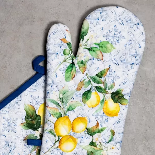 imageMaison d Hermine Oven Mitt  Pot Holder 100 Cotton Heat Resistant Kitchen Oven Gloves 75quotx13quot ampamp Hot Pads 8quotx8quot Chef Women ampamp Men Parties Birdies On Wire  SpringSummerCitrus
