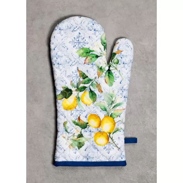 imageMaison d Hermine Oven Mitt  Pot Holder 100 Cotton Heat Resistant Kitchen Oven Gloves 75quotx13quot ampamp Hot Pads 8quotx8quot Chef Women ampamp Men Parties Birdies On Wire  SpringSummerCitrus