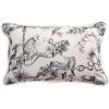 imageMaison d Hermine Equinoxe  Blue 100 Cotton Decorative Pillow Cover for Couch Sofa Cushion Covers Bedroom Home Living Room 20quotx20quot25  Bonobo  Grey