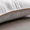 imageMaison d Hermine Decorative Cushion Cover 100 Cotton 18quotx18quot Toile Washable Pillow Cover with Invisible Zipper for Home Dcor Office Couch Bedroom Nudes  Monstera Dusk  SpringSummer14  Nudes  Gingko Light