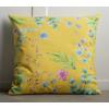 imageMaison d Hermine Decorative Cushion Cover 100 Cotton 18quotx18quot Toile Washable Pillow Cover with Invisible Zipper for Home Dcor Office Couch Bedroom Nudes  Monstera Dusk  SpringSummer01  Artist Garden  Sunshine