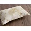 imageMaison d Hermine The Miller  Antique Green with White Background 100 Cotton Decorative Pillow Cover for Couch Sofa Cushion Covers Bedroom Home Living Room 20quotx20quot21  Paradise  Sage