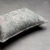 imageMaison d Hermine The Miller  Antique Green with White Background 100 Cotton Decorative Pillow Cover for Couch Sofa Cushion Covers Bedroom Home Living Room 20quotx20quot04  the Miller  Antique Green