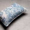 imageMaison d Hermine The Miller  Antique Green with White Background 100 Cotton Decorative Pillow Cover for Couch Sofa Cushion Covers Bedroom Home Living Room 20quotx20quot03  the Miller  Denim