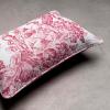 imageMaison d Hermine The Miller  Antique Green with White Background 100 Cotton Decorative Pillow Cover for Couch Sofa Cushion Covers Bedroom Home Living Room 20quotx20quot11  the Miller  Red White Background