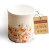 imageMaison d Hermine Coffee Mug with Handles Fine Bone China Pack of Two Coffee Mug for Hot Beverages Cappuccino Latte Home Restaurant Perfect for Men ampamp Women Holly Time 15 Ounce8  Ibiza  Beige  Rose