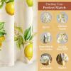 imageMaison d Hermine Limoncello 100 Cotton Set of 3 Kitchen Rod Pocket Window Curtain for Cafe  Kitchen  Bedroom  Home 2 Tiers 28quotX36quot and 1 Valance 56quotX18quot24  Limoncello