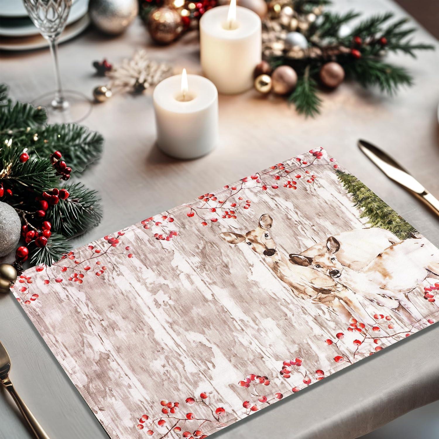 imageMaison d Hermine Placemat 100 Cotton Decorative Placemats Washable Cloth Placemats Home Wedding Restaurant Party ampamp Camping Potiron  ThanksgivingChristmas Set of 418  Mountain Life