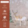imageMaison d Hermine Placemat 100 Cotton Decorative Placemats Washable Cloth Placemats Home Wedding Restaurant Party ampamp Camping Potiron  ThanksgivingChristmas Set of 402  Deer in the Woods