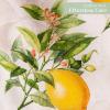 imageMaison dHermine Table Runner 100 Cotton Single Layer Easter Table Runners 72 inches Long Home Kitchen Dining Party ampamp Camping  Easter Decorations Spring ampamp Summer Printemps 1450quot x 72quot01  Limoncello