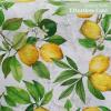 imageMaison dHermine Table Runner 100 Cotton Single Layer Easter Table Runners 72 inches Long Home Kitchen Dining Party ampamp Camping  Easter Decorations Spring ampamp Summer Printemps 1450quot x 72quot11  Cedrat