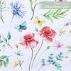 imageMaison dHermine Table Runner 100 Cotton Single Layer Easter Table Runners 72 inches Long Home Kitchen Dining Party ampamp Camping  Easter Decorations Spring ampamp Summer Printemps 1450quot x 72quot24  Just Floral