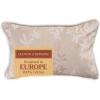 imageMaison d Hermine Decorative Pillow Covers 20x20 Inch Square 100 Cotton Throw Pillow Covers with Zipper  Chair Couches Sofas Bedroom Home for Easter Decorations Savana Jouy  Beige18  Louxor  Beige