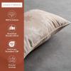 imageMaison d Hermine Decorative Pillow Covers 20x20 Inch Square 100 Cotton Throw Pillow Covers with Zipper  Chair Couches Sofas Bedroom Home for Easter Decorations Savana Jouy  Beige18  Louxor  Beige