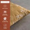 imageMaison d Hermine Decorative Pillow Covers 20x20 Inch Square 100 Cotton Throw Pillow Covers with Zipper  Chair Couches Sofas Bedroom Home for Easter Decorations Savana Jouy  Beige15  Louxor  Dark Beige