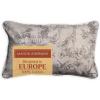 imageMaison d Hermine Decorative Pillow Covers 20x20 Inch Square 100 Cotton Throw Pillow Covers with Zipper  Chair Couches Sofas Bedroom Home for Easter Decorations Savana Jouy  Beige01  Savana Jouy  Blue