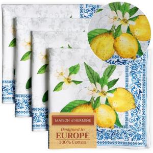 imageMaison dHermine Cloth Napkins 100 Cotton Everyday Set of 4 Dinner Napkins Cloth Washable Kitchen Party Wedding Restaurant Easter Decorations SpringSummer Easter Dew 20quot x 20quot29  Cedrat