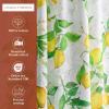 imageMaison d Hermine Cedrat 100 Cotton Set of 3 Kitchen Rod Pocket Window Curtain for Cafe  Kitchen  Bedroom  Home 2 Tiers 28quotX36quot and 1 Valance 56quotX18quot40  Cedrat