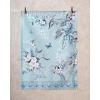 imageMaison d Hermine Dishcloths 100 Combed Cotton Premium 20quot x 2750quot Easter MultiPurpose Kitchen Towel for Kitchen Holiday Dinner Wedding ampamp Dining Peacock Utopia  Sandy Beach Set of 3Peacock Utopia  Pastel Turquoise