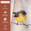 imageMaison d Hermine Kitchen Curtains Sets for Windows 100 Cotton Set of Kitchen Curtains Valances for Home 2 Tiers 28quotX36quot and 1 Valance 56quotX18quot Farmhouse Cafe Rural Christmas06  Birdies on Wire