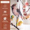 imageMaison d Hermine Kitchen Curtains Sets for Windows 100 Cotton Set of Kitchen Curtains Valances for Home 2 Tiers 28quotX36quot and 1 Valance 56quotX18quot Farmhouse Cafe Rural Christmas03  Equinoxe  Beige