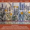 image:imageMaison d Hermine Kitchen Curtain Set for Windows 100 Cotton Set of Kitchen Curtain Valance for Home 2 Tier 28X36 and 1 Valance 56X18 Caf Gifts for Mothers Day Magnolia Mornings029  Fanny Lavender
