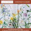 image:imageMaison d Hermine Kitchen Curtain Set for Windows 100 Cotton Set of Kitchen Curtain Valance for Home 2 Tier 28X36 and 1 Valance 56X18 Caf Gifts for Mothers Day Magnolia Mornings010  Fleurs De Mai
