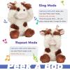 imageHopearl Peek A Boo Bear Interactive Repeats What You Say Plush Teddy Bear Toy Musical Singing Talking Stuffed Animal Adorable Electric Animate Gift for Toddlers Brown 11Cow