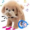 imageHopearl Walking Husky Interactive Electronic Pet Musical Dog Toy Remote Control Leash Animated Puppy Singing Barking Wagging Tail Touch Recognition Gifts for Toddlers Birthday Gray 9Beard Dog
