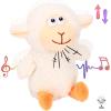 Lamb