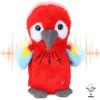 Parrot