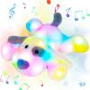 White Puppy_LED & Music