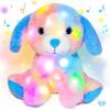 Rainbow Dog_LED & Music