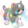 Gray Cat_LED (no music)
