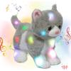 Gray Cat_LED & Music