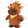 Highland Cow