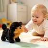 image:imageHopearl Walking Teddy Dog Interactive Electronic Pet Plush Toy Puppy Woof and Moving Animated Nodding Head Gifts for Toddlers Birthday Brown 7Black Schnauzer