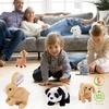 image:imageHopearl Walking Teddy Dog Interactive Electronic Pet Plush Toy Puppy Woof and Moving Animated Nodding Head Gifts for Toddlers Birthday Brown 7BunnyGray