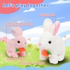 image:imageHopearl Walking Teddy Dog Interactive Electronic Pet Plush Toy Puppy Woof and Moving Animated Nodding Head Gifts for Toddlers Birthday Brown 7Carrot BunnyPink