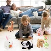 image:imageHopearl Walking Teddy Dog Interactive Electronic Pet Plush Toy Puppy Woof and Moving Animated Nodding Head Gifts for Toddlers Birthday Brown 7Carrot BunnyWhite