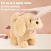 image:imageHopearl Walking Teddy Dog Interactive Electronic Pet Plush Toy Puppy Woof and Moving Animated Nodding Head Gifts for Toddlers Birthday Brown 7DogBrown