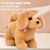 image:imageHopearl Walking Teddy Dog Interactive Electronic Pet Plush Toy Puppy Woof and Moving Animated Nodding Head Gifts for Toddlers Birthday Brown 7DogDark Brown