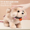 image:imageHopearl Walking Teddy Dog Interactive Electronic Pet Plush Toy Puppy Woof and Moving Animated Nodding Head Gifts for Toddlers Birthday Brown 7DogLight Brown Point