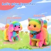 image:imageHopearl Walking Teddy Dog Interactive Electronic Pet Plush Toy Puppy Woof and Moving Animated Nodding Head Gifts for Toddlers Birthday Brown 7DogStraight Rainbow