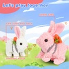 image:imageHopearl Walking Teddy Dog Interactive Electronic Pet Plush Toy Puppy Woof and Moving Animated Nodding Head Gifts for Toddlers Birthday Brown 7LED Ears Carrot BunnyPink