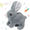 Bunny-Gray