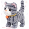 Cat-Gray