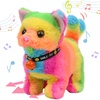 Cat-Rainbow