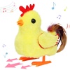 Chicken-Yellow