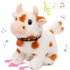 Cow-Brown